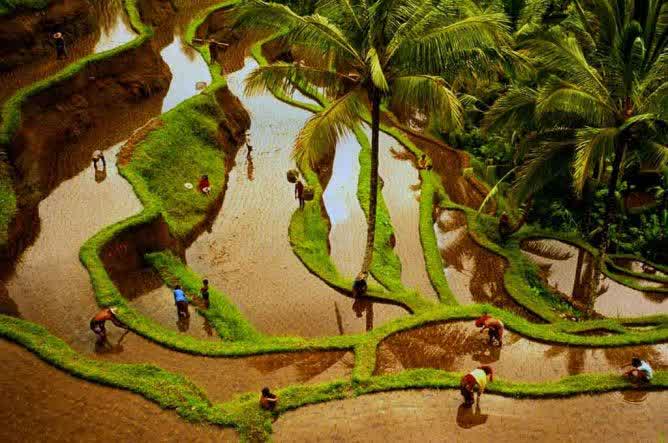 Bali Dinobatkan Sebagai Pulau Terbaik ke-Dua di Dunia. bit.ly/1MB366y