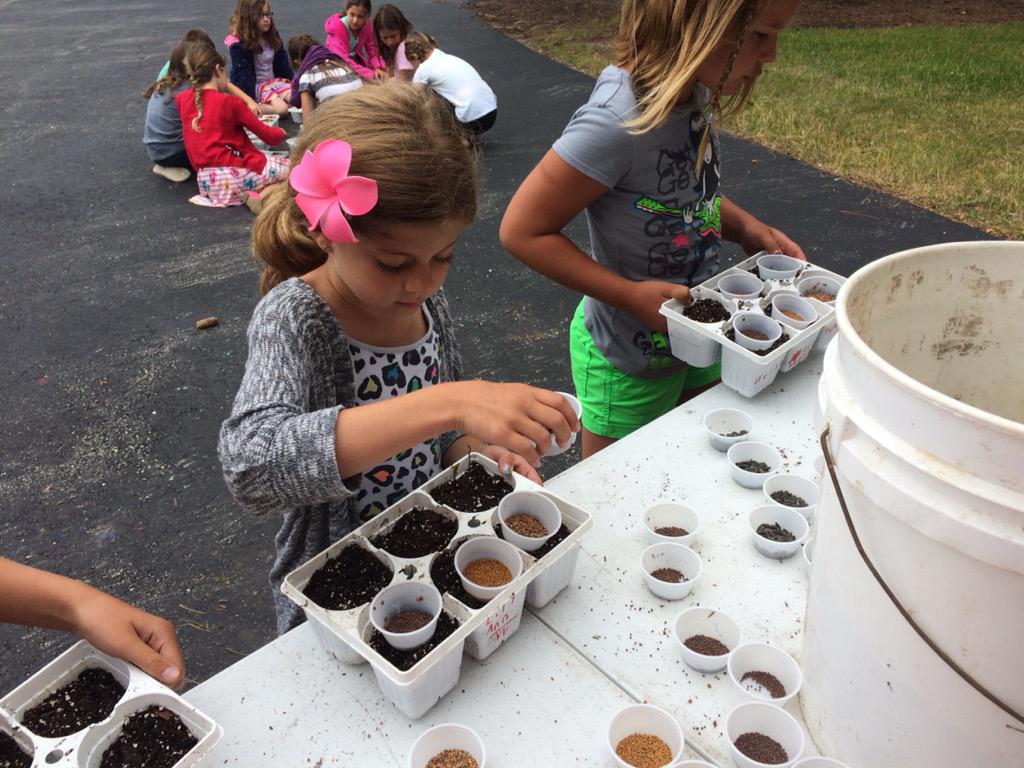 Kids Corner at the market on Sunday August 2nd!  Come and plant some micro greens with us! #microgreens #local#racine