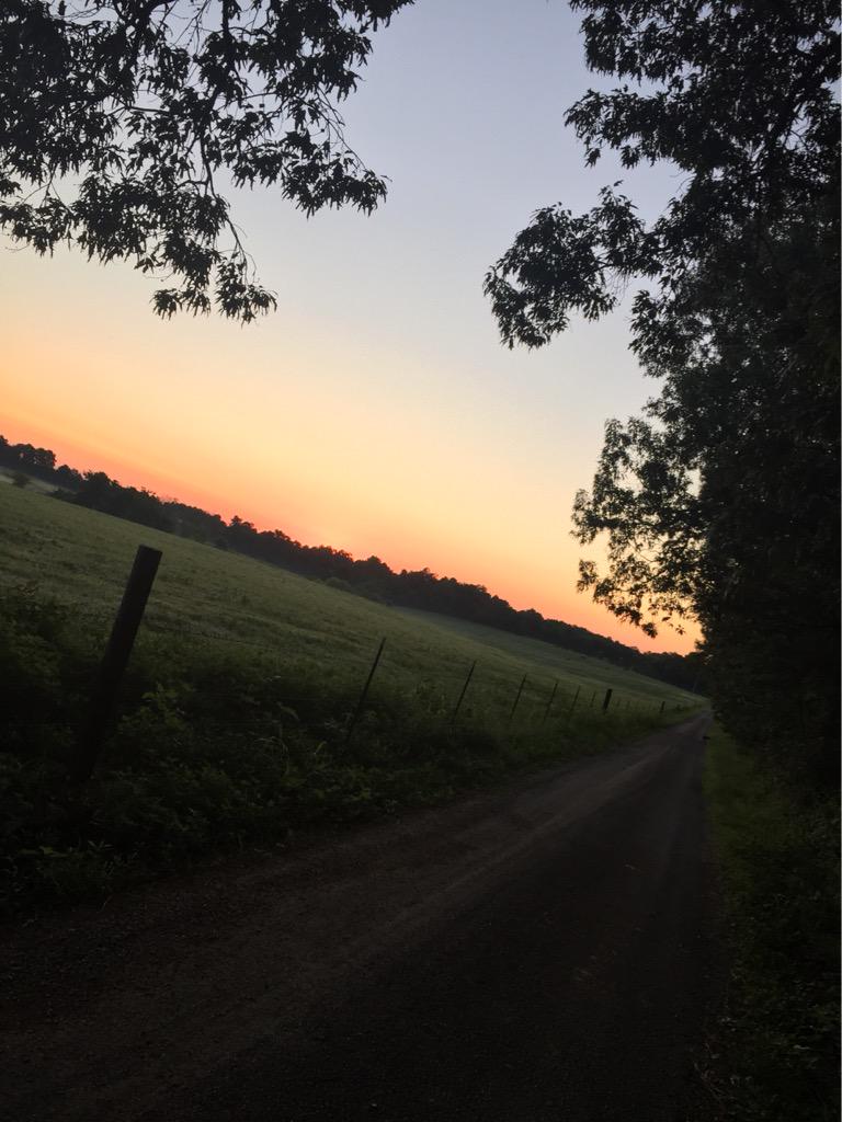 stu_mills23's tweet photo. I wish I was a morning person so I could consistently start every morning off like this. http://t.co/rO2WXc0BVn
