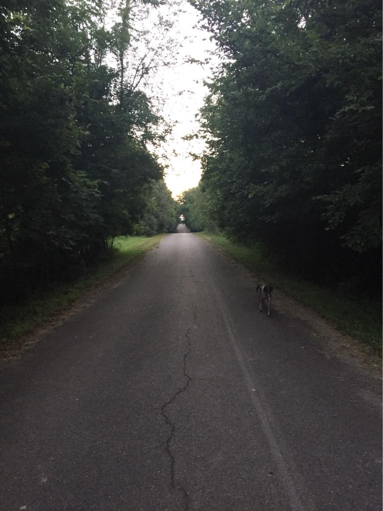 stu_mills23's tweet photo. I wish I was a morning person so I could consistently start every morning off like this. http://t.co/rO2WXc0BVn