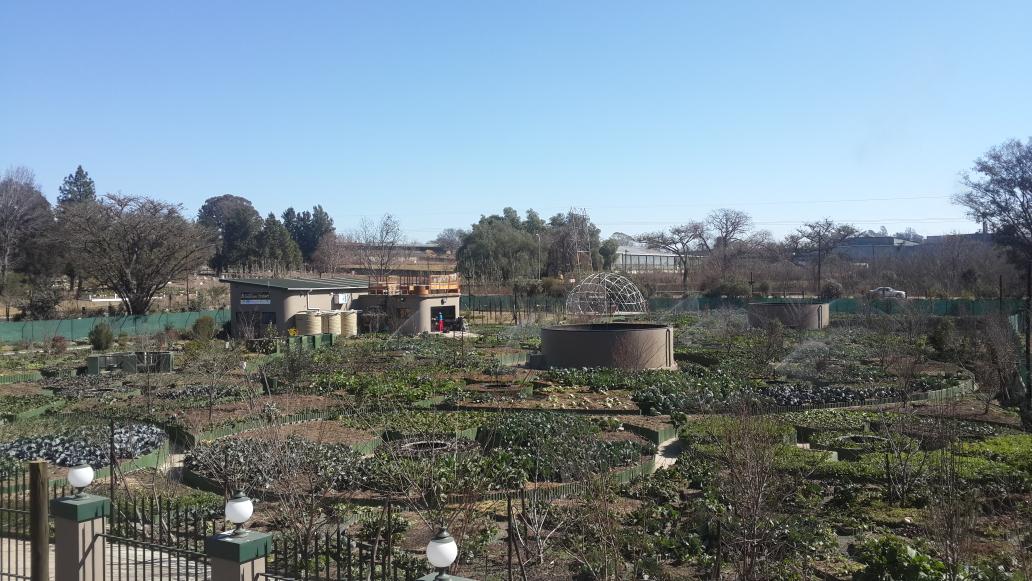 Alimdaad's tweet photo. The Al-Imdaad Foundation Community #Garden Project in #Estcourt, #KZN. Helping to #empower people. http://t.co/jFF8EUOnBK