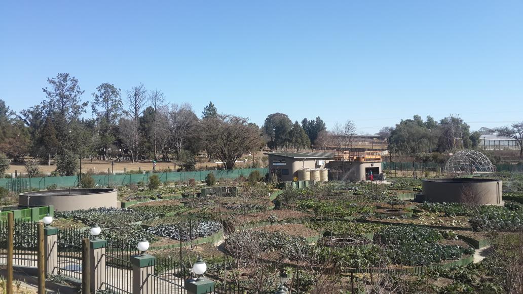 Alimdaad's tweet photo. The Al-Imdaad Foundation Community #Garden Project in #Estcourt, #KZN. Helping to #empower people. http://t.co/jFF8EUOnBK