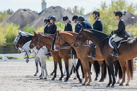 pinoakhouston's tweet photo. It's Int'l Helmet Awareness Day! Shop @CSaddlery & save on helmets #PinOak2015 gift w/purchase. #IHAD @riders4helmets http://t.co/TwLnrHgvjT