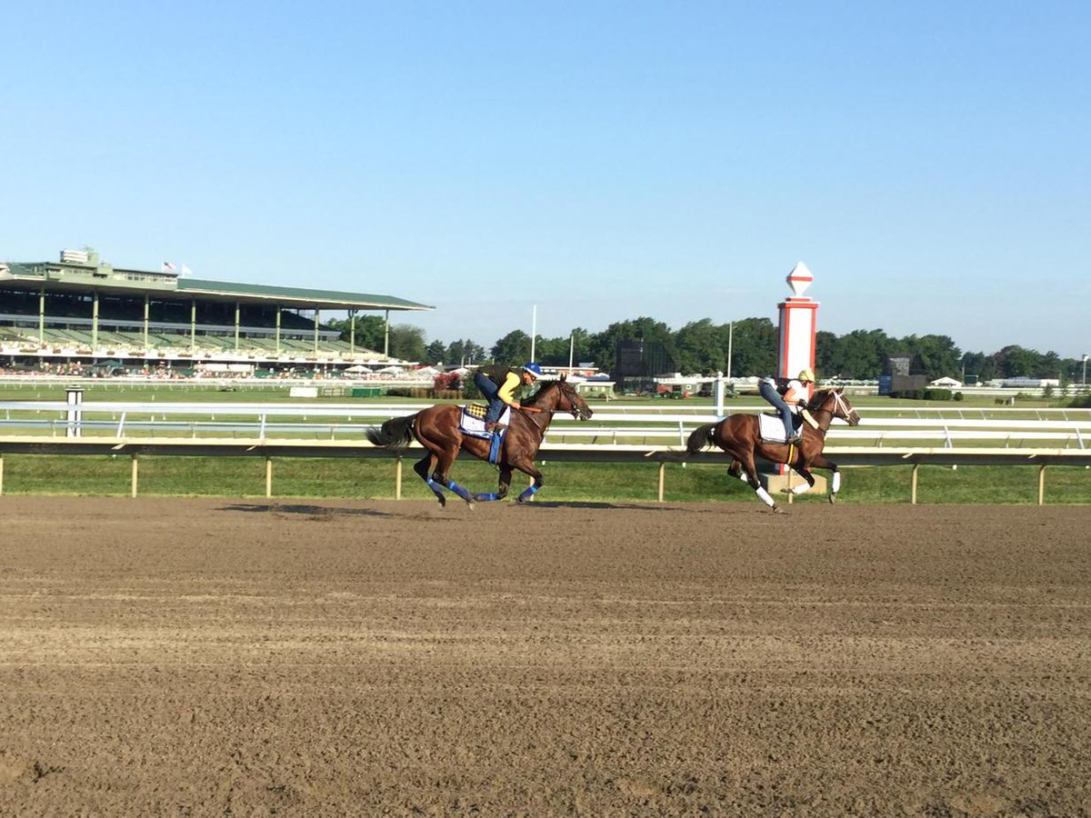 Top Clearance is all "I'm in front of the Triple Crown winner!" Pharoah, "Enjoy it, dude,"