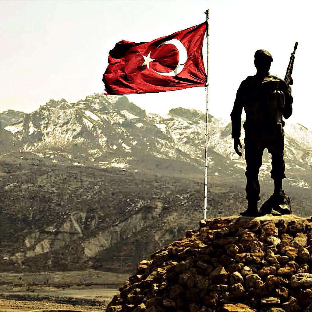 Burak tweet media