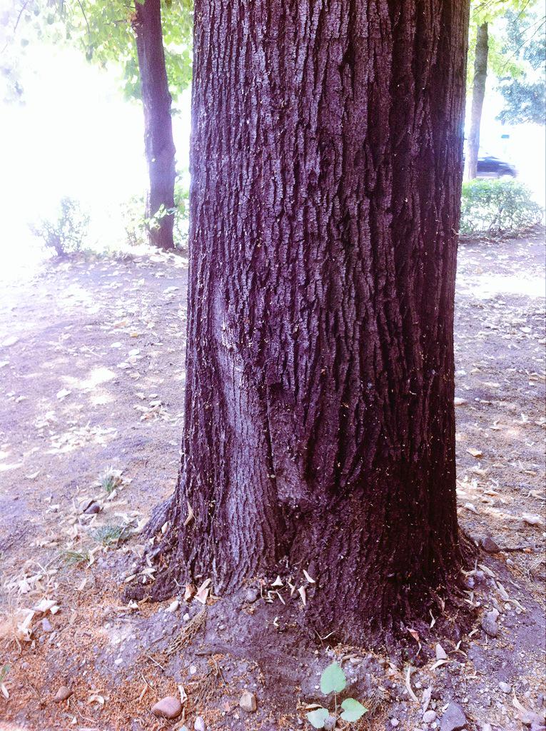 MCK (@kriskoo8) on Twitter photo 