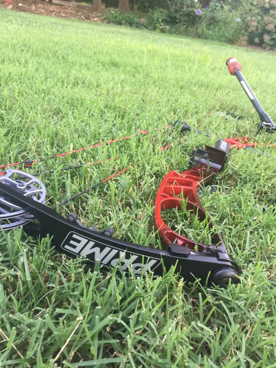 1Bowstrings's tweet image. 