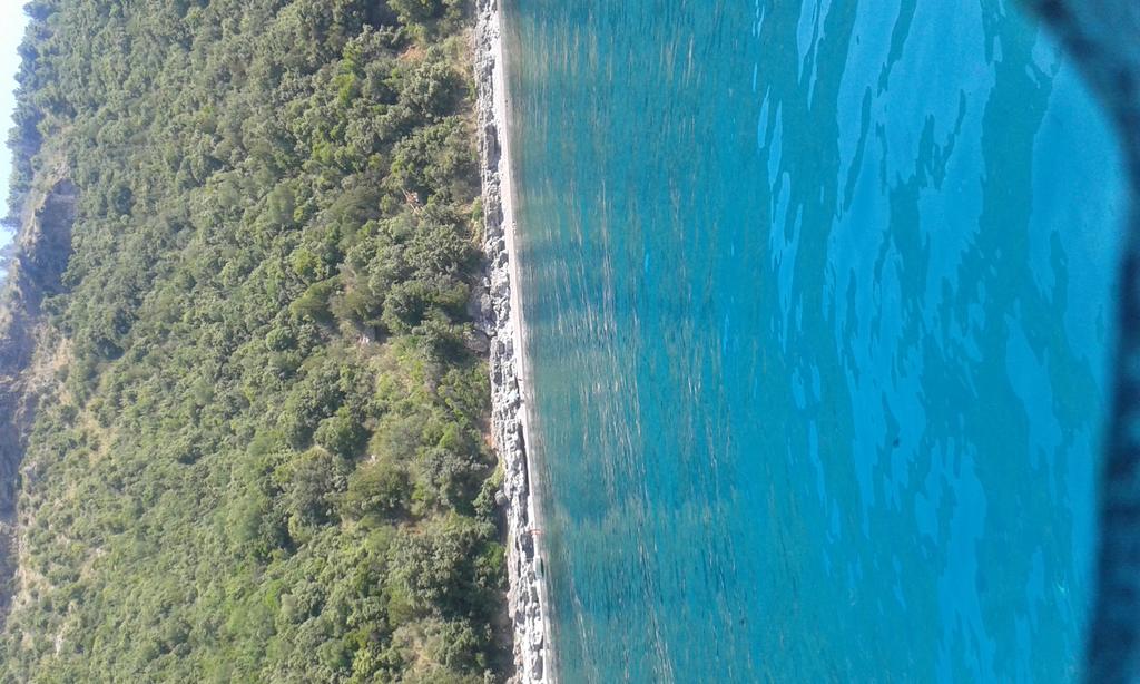 ancutolo63's tweet photo. Acqua azzurra# acqua chiara# con le mani posso finalmente bere# Golfo di Policastro# Capo del Monaco# Wonder Nature http://t.co/oCwtc9o0i8