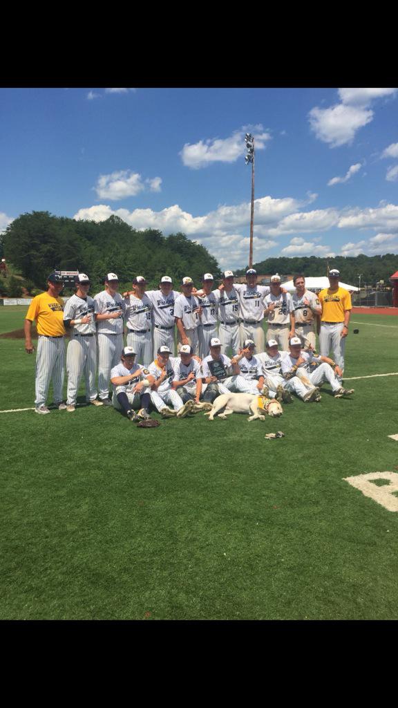 Scott Nolte tweet media