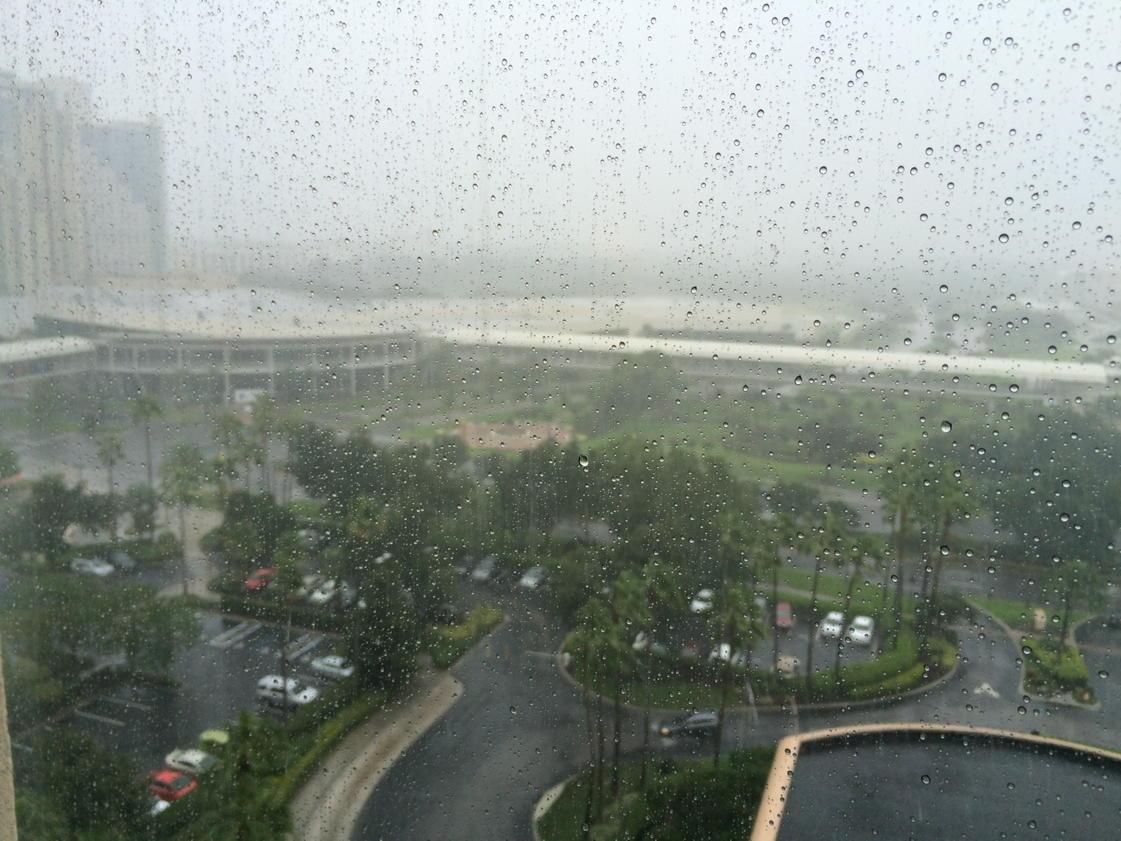 KathrynLauer's tweet photo. Welcome to the "Sunshine State"#JessiG4MAOT #time4anap http://t.co/rSJRXabNw8