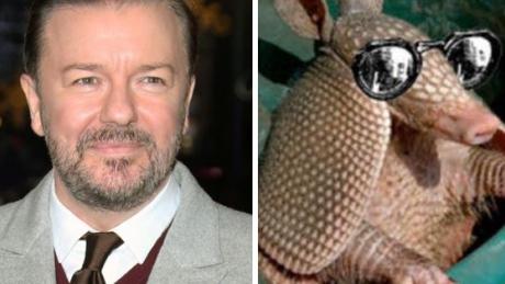 CBCNews's tweet photo. Ricky Gervais sparks #karmadillo after man's bullet backfires off armadillo  http://t.co/5auD41UQFJ http://t.co/KLQz6ZGyVs
