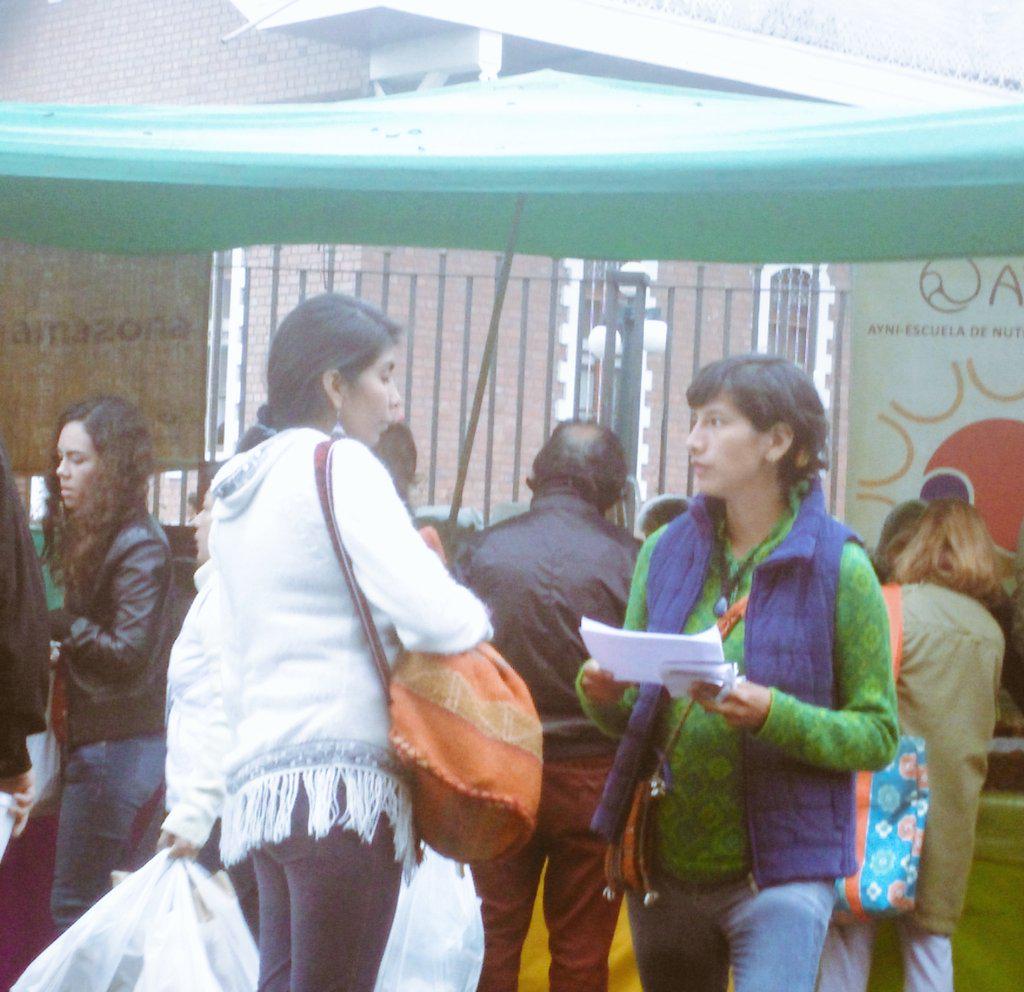 LimaDignidad's tweet photo. #AHORA 
Estamos recolectando firmas para que el ensanchamiento de la #AvBenavides no se realice
#1A #PlantaUnArbol http://t.co/IUAnF6TGEU