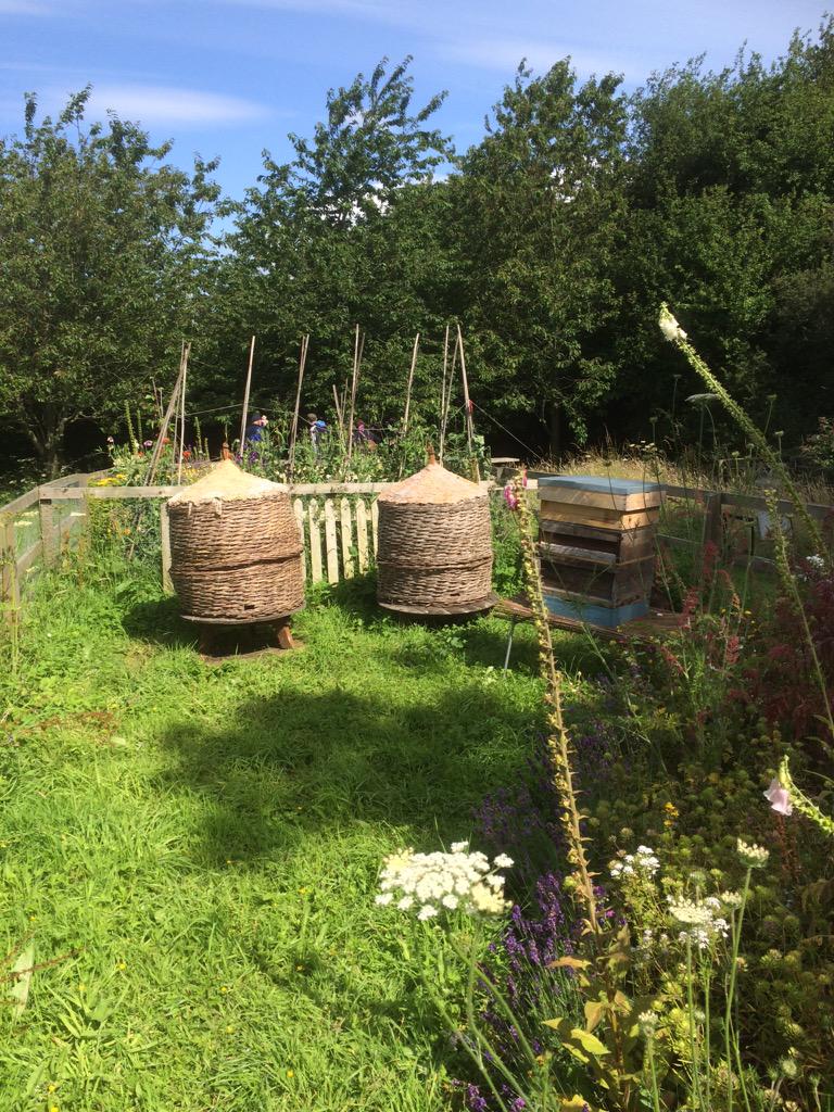 DavidR4Nature's tweet photo. Old fashioned #bee skeps at #NationalTrust #Cherryburn. #Beekeeping #nature #flowers #garden #wildlifeimages http://t.co/fh73L0ufLu