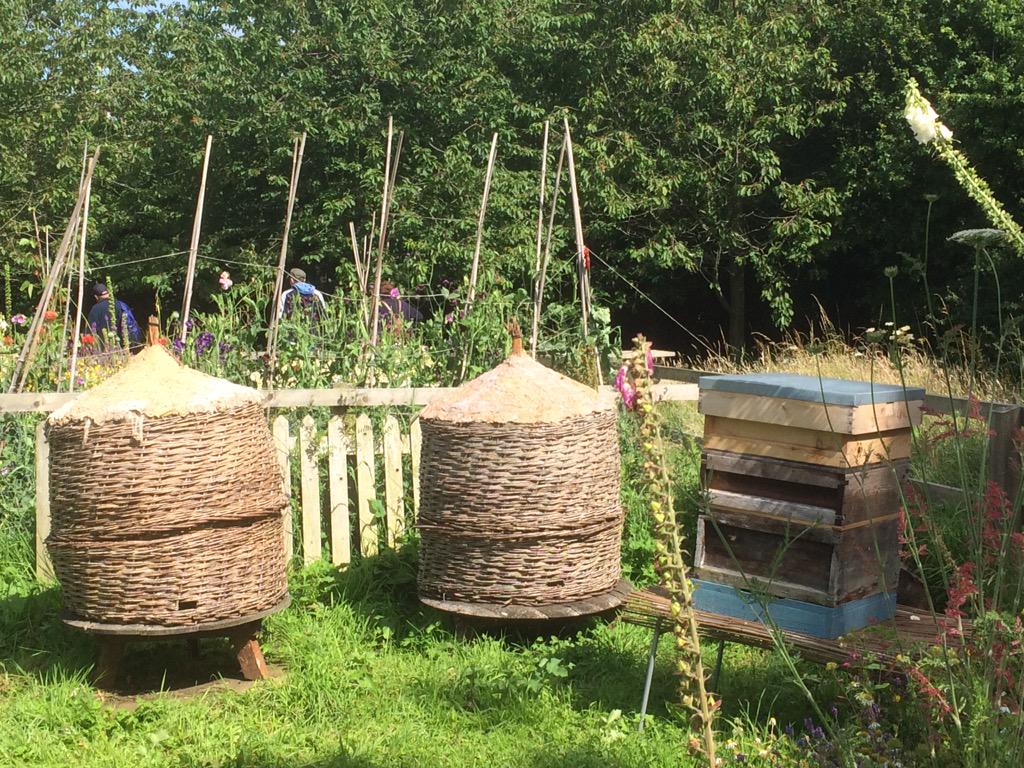 DavidR4Nature's tweet photo. Old fashioned #bee skeps at #NationalTrust #Cherryburn. #Beekeeping #nature #flowers #garden #wildlifeimages http://t.co/fh73L0ufLu