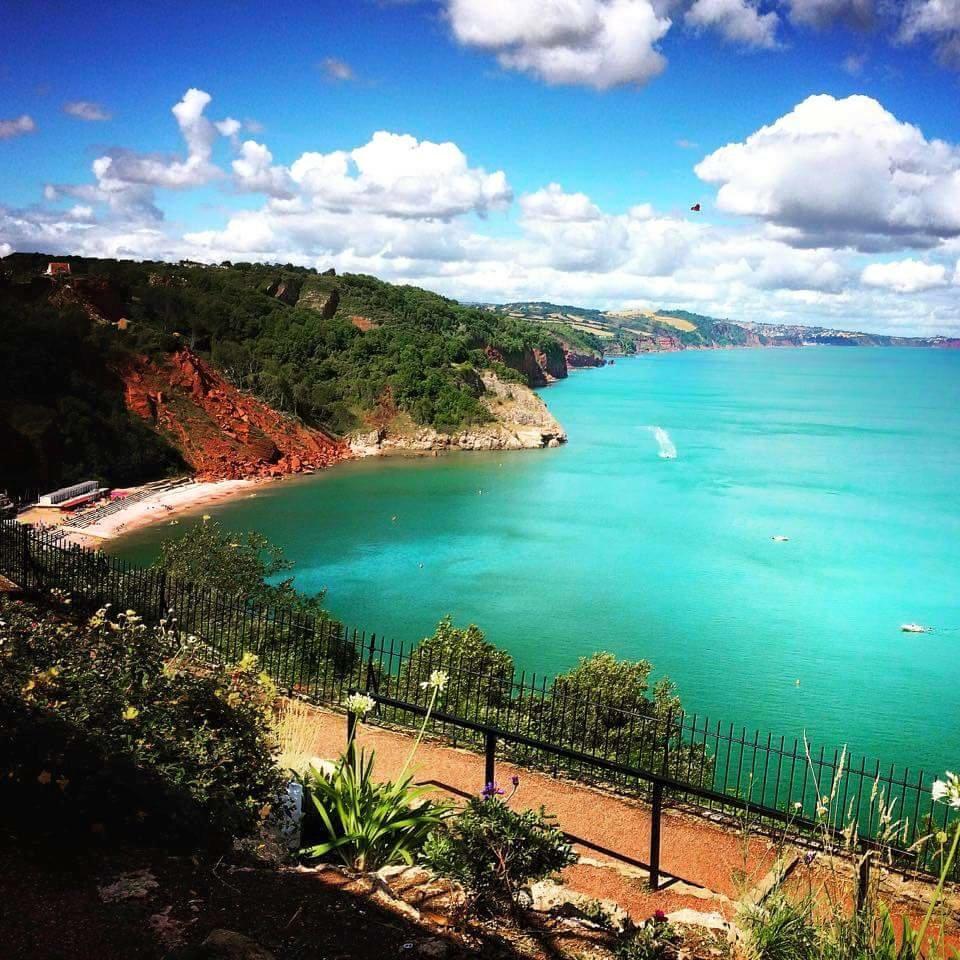 Hanbury's Torquay tweet media