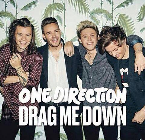 AreNotFriends's tweet photo. <3 #OneDirection #DragMeDown http://t.co/gBygjtcdmF