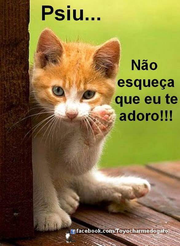 vaneemanu's tweet photo. @luanasoft cade VC, q não t acho mais... http://t.co/VLD75enrSN