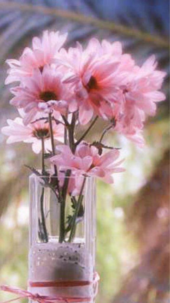 sma9009's tweet photo. سبحان الله والحمد لله http://t.co/1mBjEawHdU