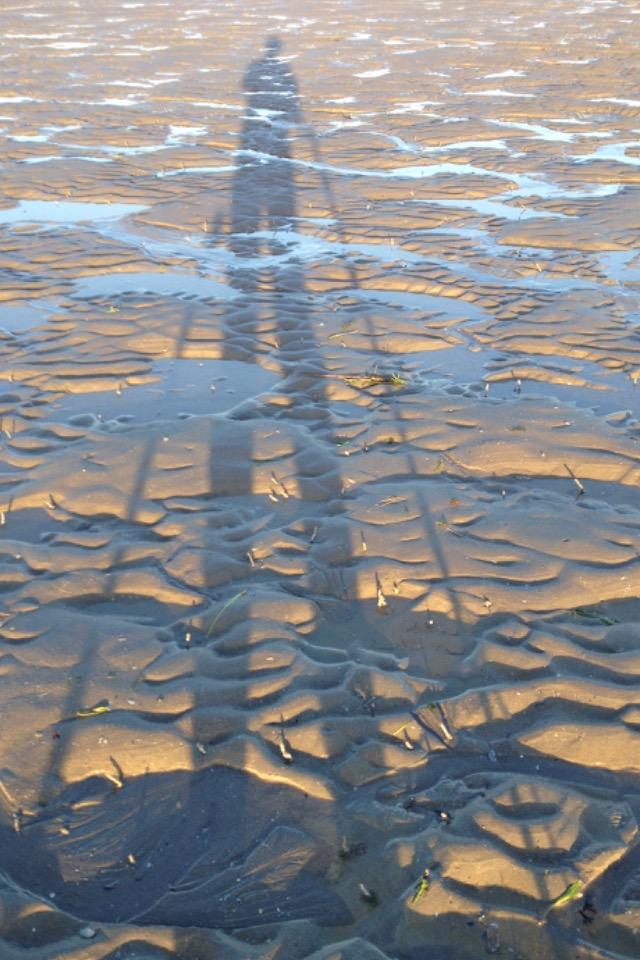 SPerdus's tweet image. 