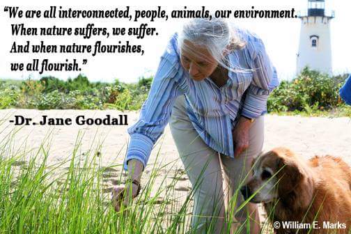 Dr. Jane Goodall & the Jane Goodall Institute on Twitter: Dr. Jane Goodall & the Jane Goodall Institute on Twitter: