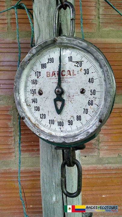 AndesEcoTours's tweet photo. An #old scale that was used to weigh the #coffee loads that were brought in and to ensure they were #paid correctly http://t.co/uC2XDeaWz4