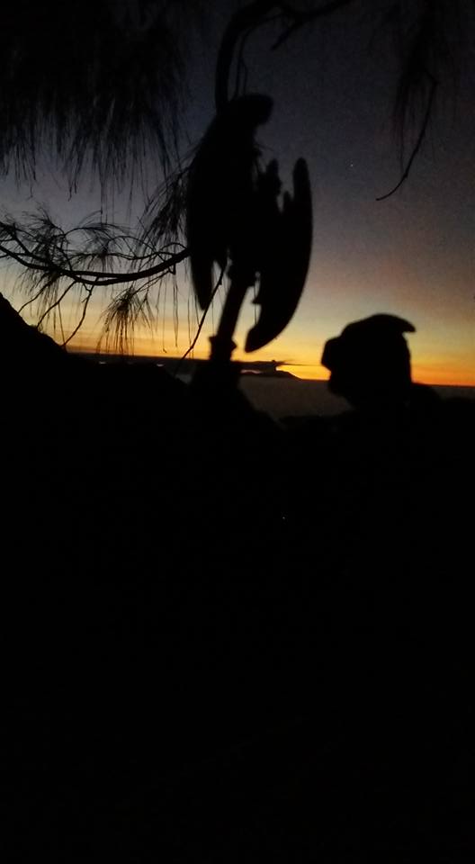 whoskavic's tweet photo. Artix at Mount Bromo..

@AQWorldsMMO @ArtixEnt @ArtixKrieger #Artix #FigureToy #Mount #bromo http://t.co/CYoT6y3Ci5