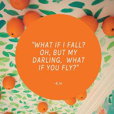 MelissasProduce's tweet photo. A little inspiration on this lovely #August morning. "Orange" you glad you tried? - http://t.co/IA4HHDeKOD http://t.co/muqcGNbLVx