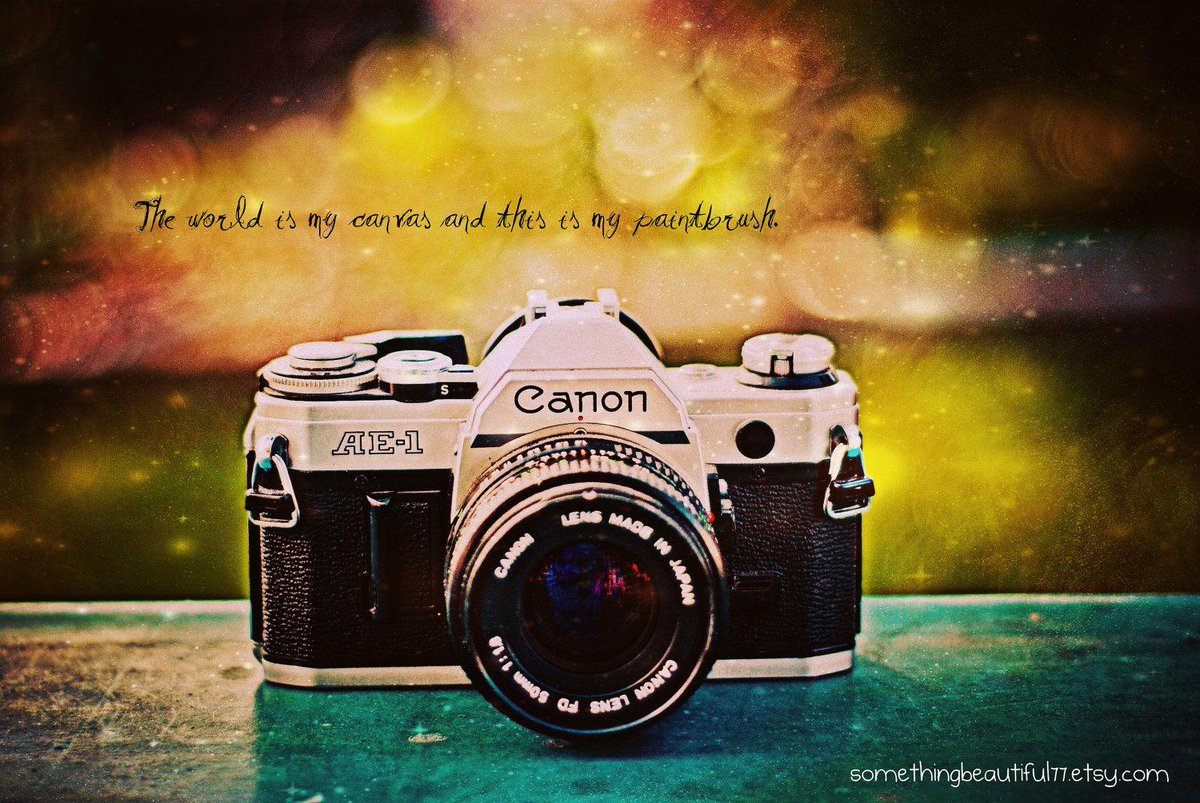 nameissakthi's tweet image. ilost my cute one #DuckIsComing #clicktochat