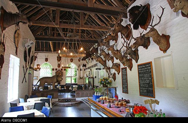 Really shocked by this trophy/tea room at #HodnetHall #Shropshire! What can they be thinking? #BanTrophyHunting