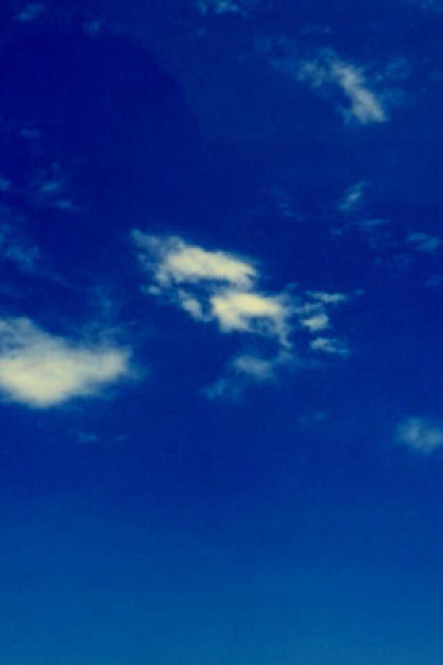 _AlexConsani_'s tweet photo. Beautiful day in LA http://t.co/HceDSSHxrN