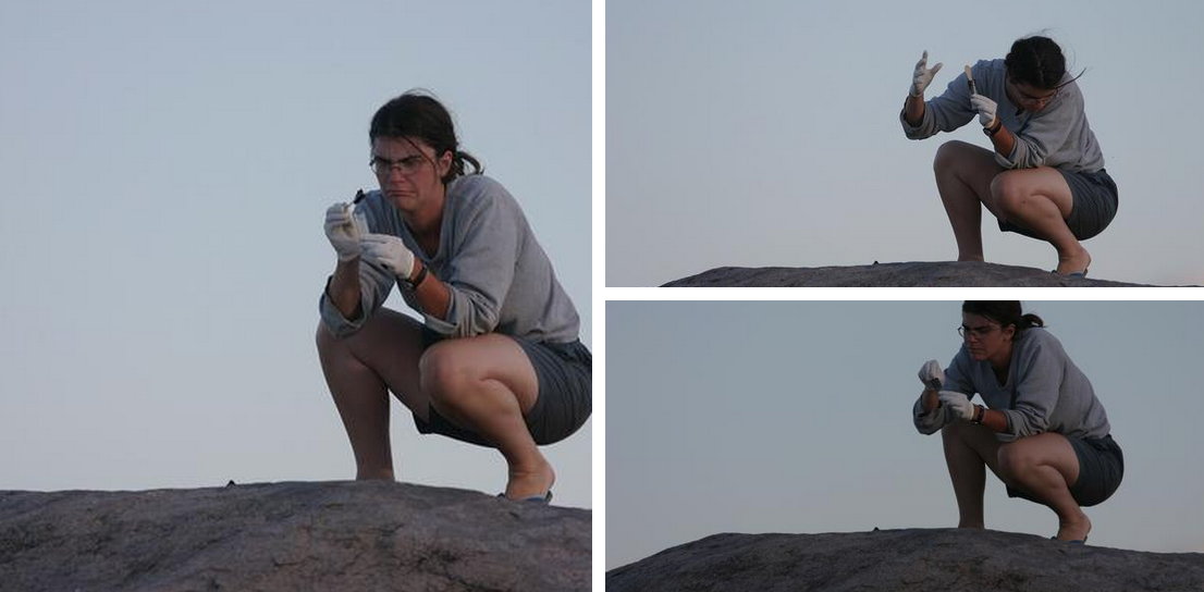 thewire_in's tweet image. When you drop cheetah poop on yourself, it&apos;s #fieldworkwin, not #fieldworkfail thewire.in/2015/07/31/fie…