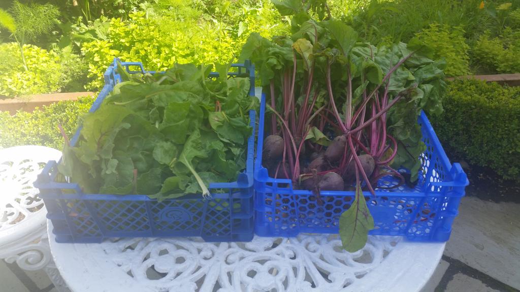 ArdilaunBistro's tweet photo. Our walled garden is coming along @Artisan_West #TasteofTheArdilaun http://t.co/2DycLzGl2R