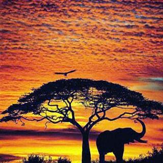 dc__ffa's tweet photo. #onemoresunset #southafrica #dcffa #ffa http://t.co/Xw6FIp8b21