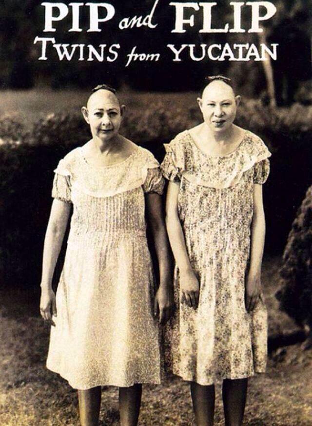 ReaccionesAHS's tweet photo. Los verdaderos freaks de AHS Freak Show. http://t.co/9Oi7b64ork