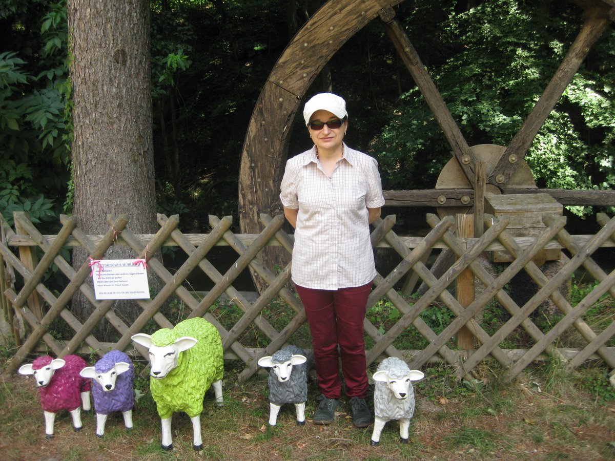 3mausimhaus's tweet image. Historisches Mühlrad, Weinheim #SheepContent