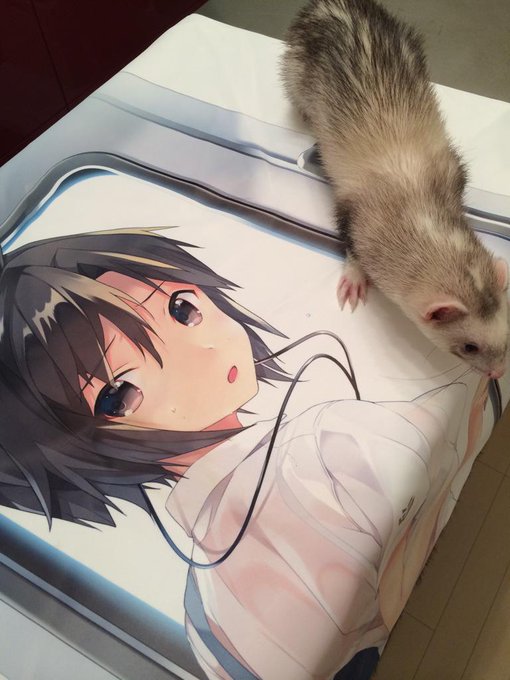 ウンチされてしまいちょっと洗った 