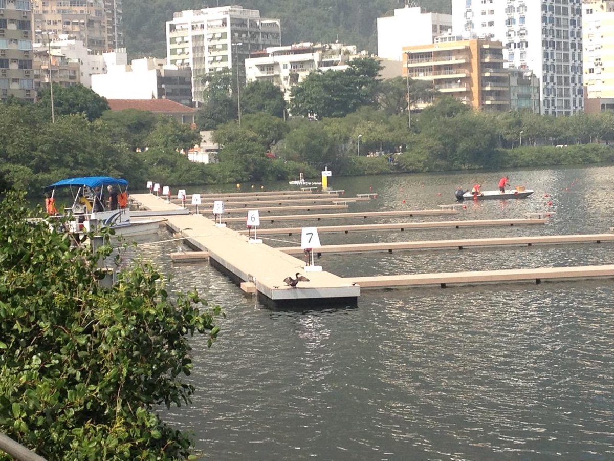 arjenuijterlind's tweet photo. While jogging around Lagoa de Freitas: Preparations for World #Rowing Junior Championships #TesteventRio #Rio2016 http://t.co/duR1Zqrsaf