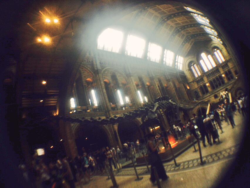 AmberZoellaFan's tweet photo. Yesterday My BestFriend&amp;I had a look around London Science Museum&amp;Natural History Museum&amp;National Portrait Gallery http://t.co/joYsMOe9SJ