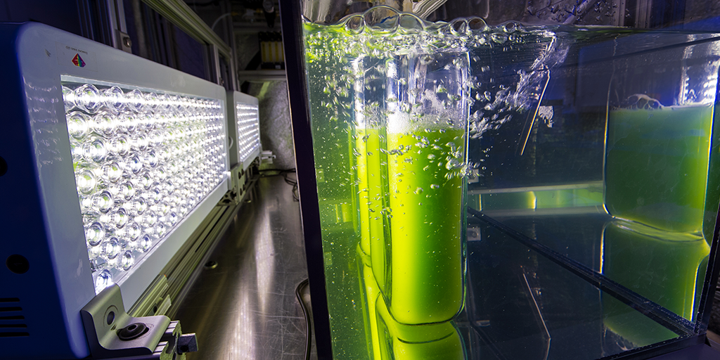 Algae Maker #Algae-based fuel can make our future greener sooner than you think → ...