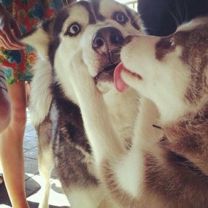 Oooooowwwwwwww 😍