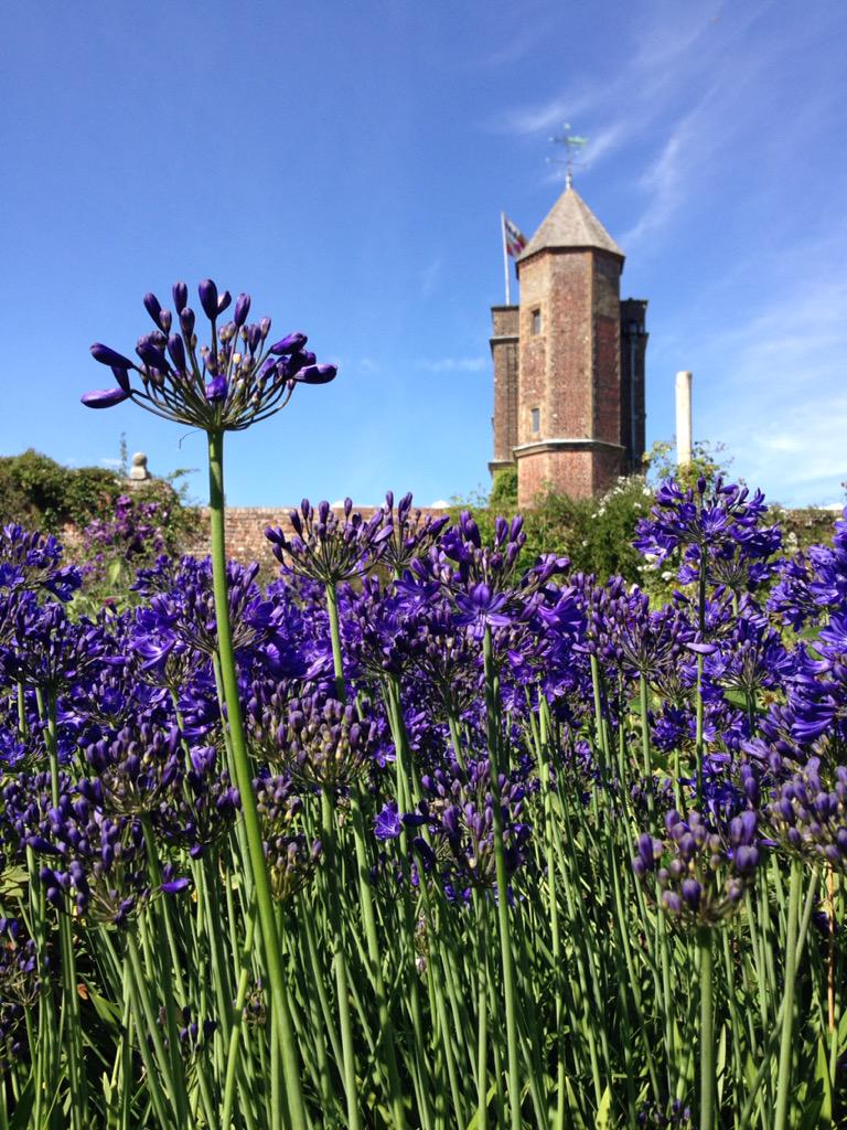 katemmars's tweet photo. Gorgeous day for a visit to the beautiful #gardens at @SissinghurstNT #Kent #NationalTrust http://t.co/mRlNFcz2Sr