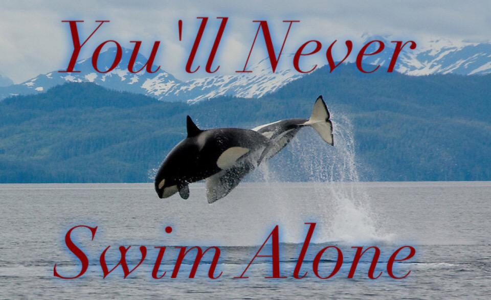 Spellmeyersucks's tweet photo. And finally, no matter what your future holds, never forget the pod motto http://t.co/9FftNBmyP3