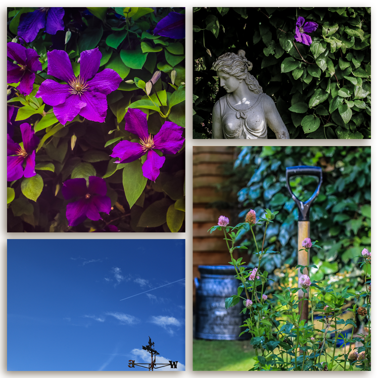 MissEllieDee's tweet photo. Images from my week: This Week {words and pictures} joining in with @WSmostlywriting… http://t.co/hgxdEps1Nn http://t.co/p4i8xfijFP