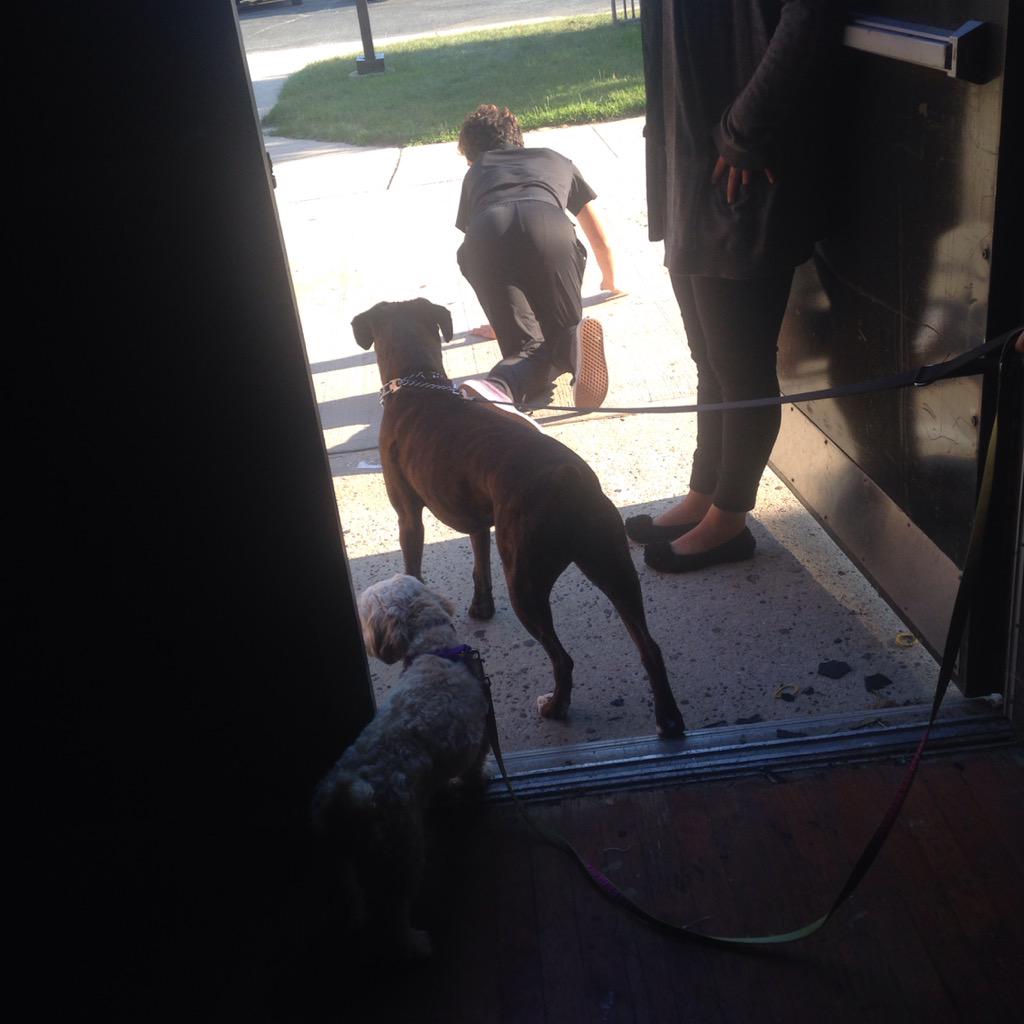 LegallyDogs's tweet photo. Pre-show pee with our favorite crew member! 🐾 #btcpuppyparty #keepitpawsitive http://t.co/F72MMHb5i8