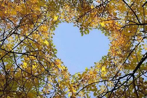 9c76db3f0ba64df's tweet photo. @nldaamazin @AsiorAawer @mohammedmousa61 @abdoham @lbantmrad @ateh111966 @KrizWaell @AlnahyouM @lovely7784 @F11fFuad http://t.co/mCvwm29019
