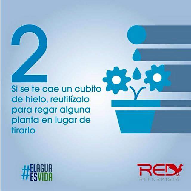 Lared_do's tweet image. RT: El 2do #RedTips ahorra agua de forma creativa, rehusando los cúbitos de hielo. #ElAguaEsVida