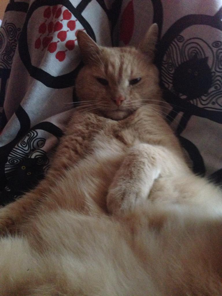 После того, как послушал #DragMeDown