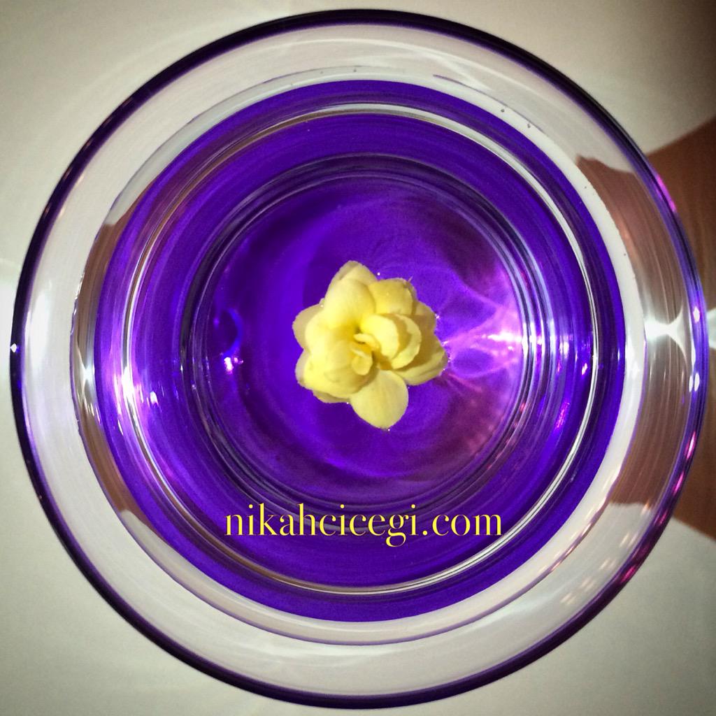 Canlı Minik Çiçekler (@nikahcicegi) on Twitter photo 