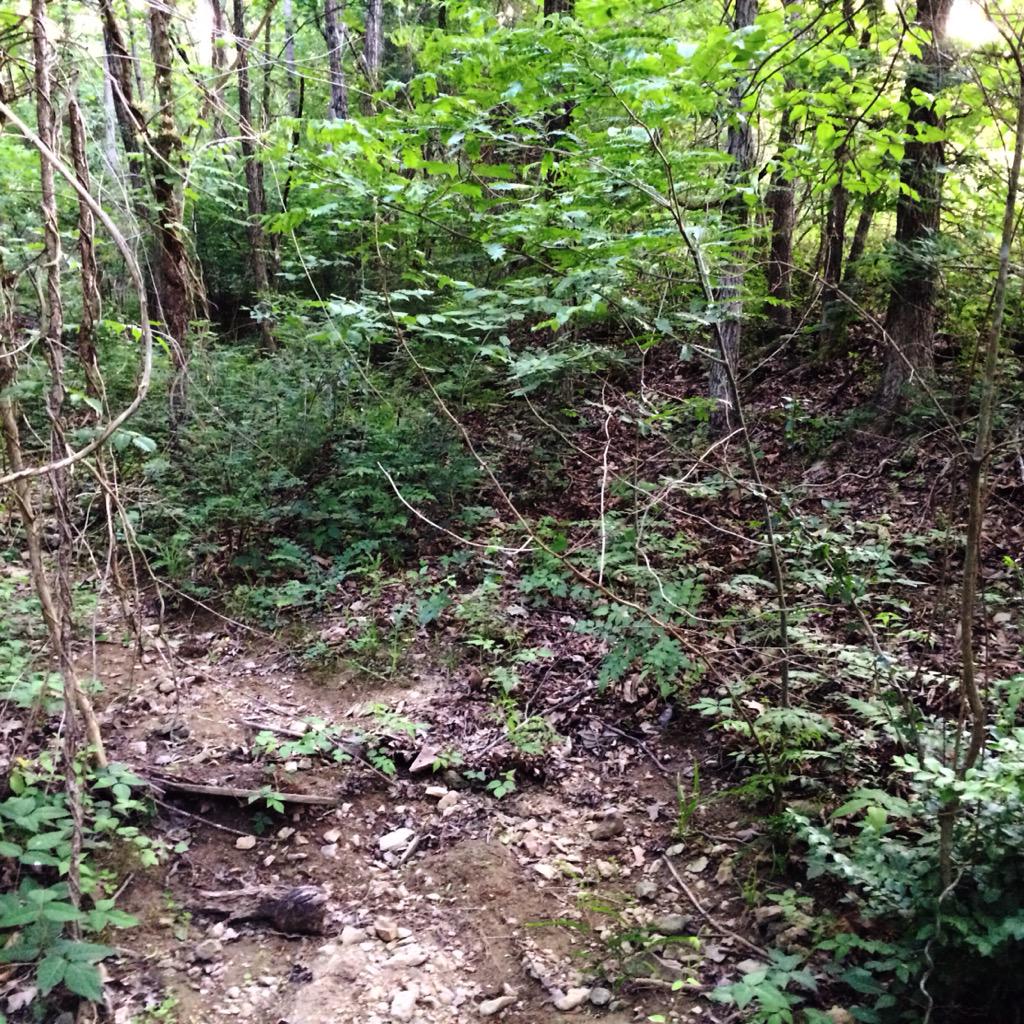 We also make gillie suits. See if you can spot <a href="/Armorer_Nic/">Nic Damaschke</a> in this pic or video #gilliesuit
youtu.be/IJ58a5oTELU