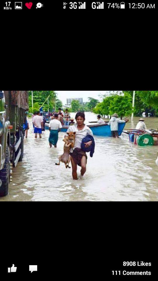 Crystal1021997's tweet photo. #save People##support Myanmar plz http://t.co/GaQp0btrlS